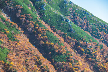 中央アルプスの千畳敷カールの風景