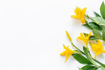 Beautiful wild meadow flowers and herbs flat lay