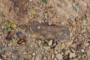 the stone, little rocks background, texture
