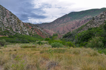 trail in South Canyon near Glenwood Springs (Colorado, United States)