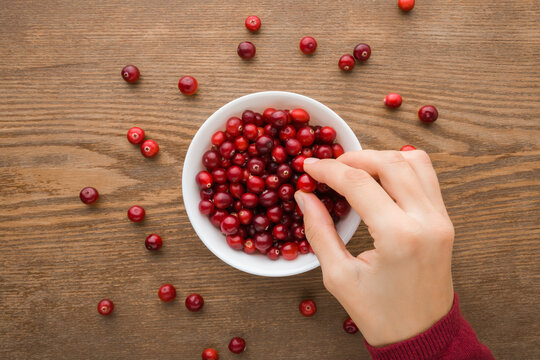 Young Adult Woman Hand Taking Fresh Red Cranberries From White Bowl On Dark Brown Wooden Table Background. Eating Healthy Berries. Closeup. Top Down View.