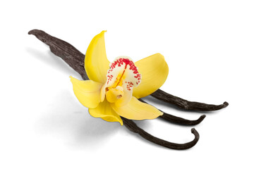 Vanilla beans with orchid flower isolated on white