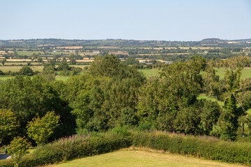 Countryside trees in Europe