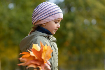 little beautiful cute toddler girl collecting bouquet of dry autumn maple leaves. child and orange leaf in the park. Kid and fall symbol. concept changes in nature. soft focus