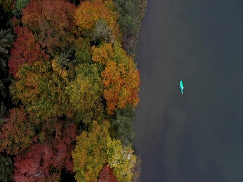 Drohnenflug Herbstlandschaft. Wald in allen Farben direkt am See. Der Seehameersee in München. Stand Up Paddle im See im Herbst. 