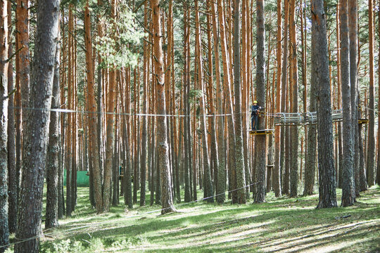 Kid on rope course in forest