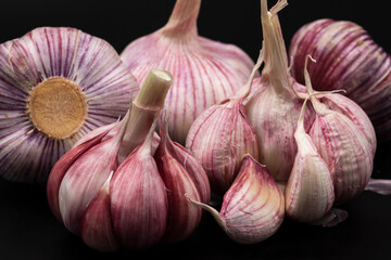 close up garlic on a black background