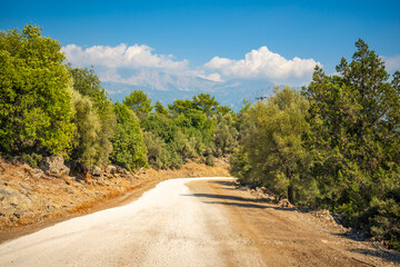 Road in mountains in canyon. Spectacular natural panoramic landscape with canyon cliffs and stones, Turkey