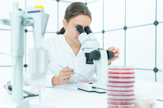 young female student examines samples of genetically modified bacteria to decompose plastic