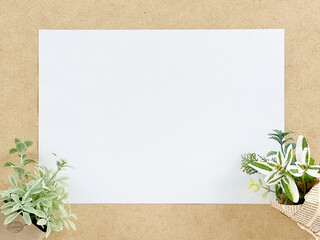 コルクボードの上の白い用紙と植物
