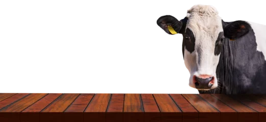 Fototapeten Close-up of an empty wooden table and a white and black dairy cow (heifer) looking at the camera, isolated on transparent or white background, photography, png. © Alberto Masnovo
