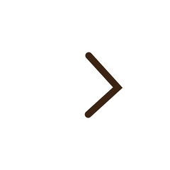 navigation right outline icon