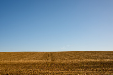 Fototapeta premium ploughed wheat field and sky