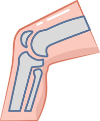 The icon of orthopedics knee bone and muscle.