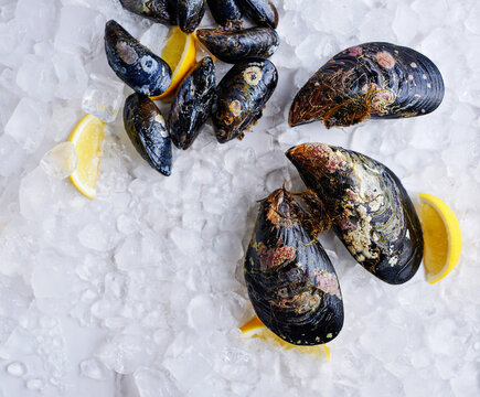 Blue mussels on crushed ice with lemon wedges