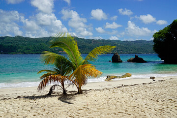 tropical island cayo levantado at samana