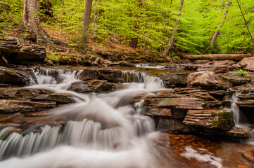A Peaceful Place Along the Trail, Ricketts Glen State Park, Pennsylvania USA, Benton, Pennsylvania