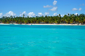 tropical island saona in the dominican republic