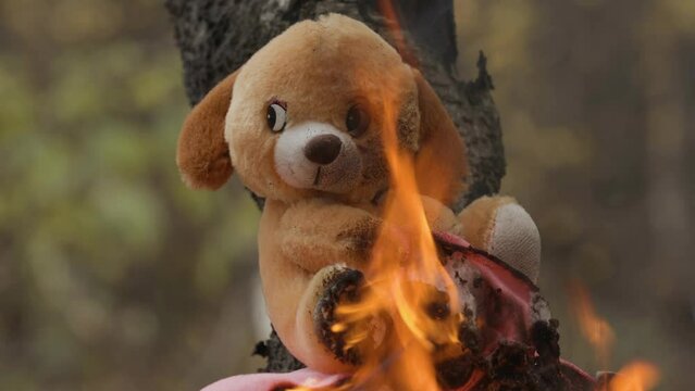 children's toy bear burns in fire