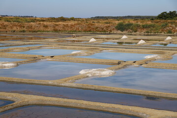 marais salants