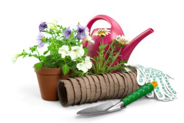 Flowers with garden tools isolated on white background
