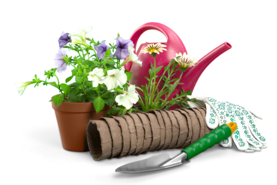 Flowers with garden tools isolated on white background