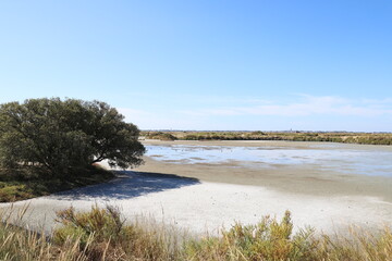marais salants