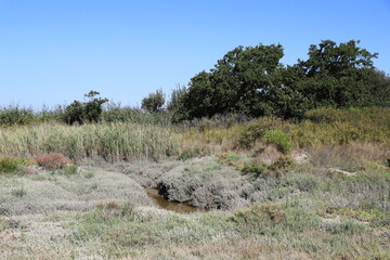 marais salants