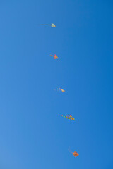 Lines of colorful kites in flight in a blue sky. Wind activity, hobby, natural background