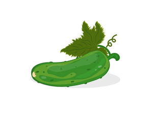 Cucumber icon. Vector image. Diet