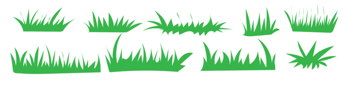 grass green vector schematic image