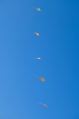 Lines of colorful kites in flight in a blue sky. Wind activity, hobby, natural background