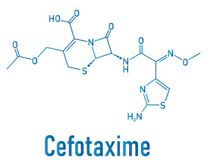 Cefotaxime antibiotic drug molecule (cephalosporin, third generation). Skeletal formula.