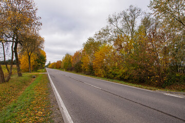 Autumn forest in the rays of the sun and the road in autumn colors. Day.