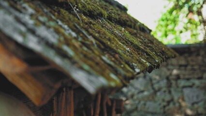 Old Village House Wooden Shingle Butt Roof Covered with Moss 
