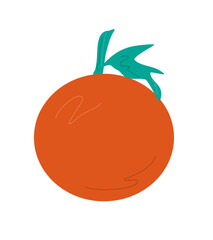 illustration of an orange fruit