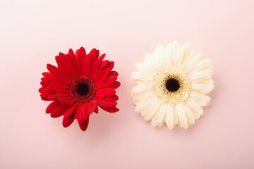 Pink Breast Cancer Awareness Ribbon. Red and white gerbera and pink ribbon on backgrounds. Breast cancer awareness and October Pink day, world cancer day. Top view. Mock up.