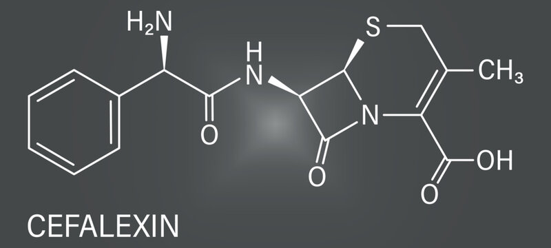 Cefalexin antibiotic drug molecule (cephalosporin, first generation). Skeletal formula.