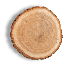 Fototapeta premium Log Cross Section
