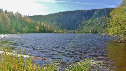 glacial acid lake of šumava, plesne plešné jezero, czech republic bohemian forest under plechy...