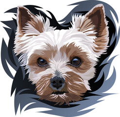 Breed Yorkshire Terrier. Portrait of a dog on a dark background. Vector illustration