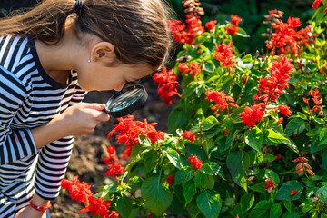 Children look through a magnifying glass at a plant. Selective focus.
