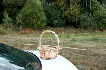 A basket for picking mushrooms or berries on the hood of car. Mushroom picking. Edge of forest, autumn landscape