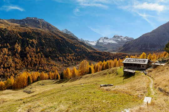 autumnal view of Val Viola in Valtellina, Italy with typical mountain hut