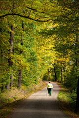 Obraz premium Woman on the road in the autumn forest.