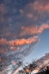 秋の夕方の赤く染まった空