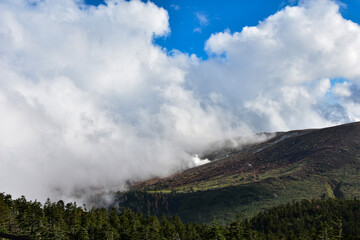 信州紅葉の名所　志賀高原の色づいた山々