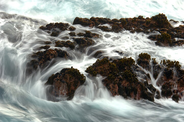 Wave flows over rocks and kelp motion.