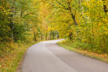 Autumn forest in the rays of the sun and the road in autumn colors. Day.
