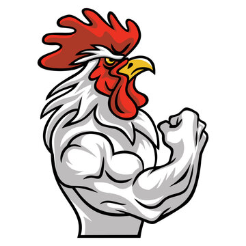 Rooster Muscle Arm Fighting Sports Mascot Logo Character Design Vector Illustration